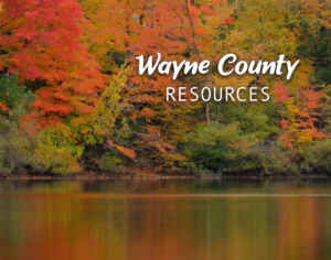 Image of fall folliage and a lake with white text reading "Wayne County Resources"